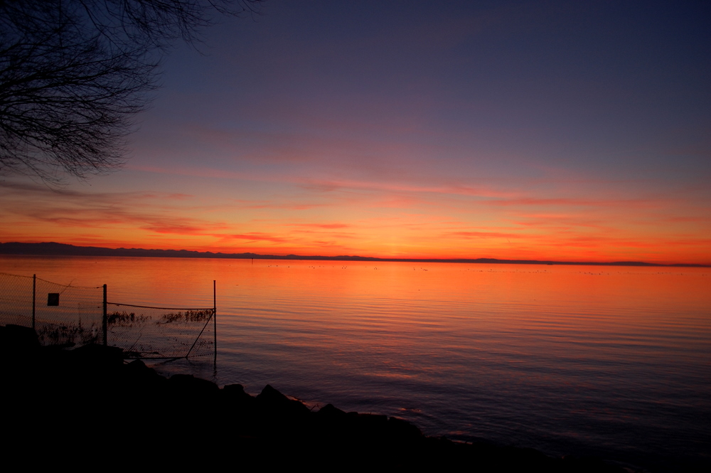 mein geliebter Bodensee 