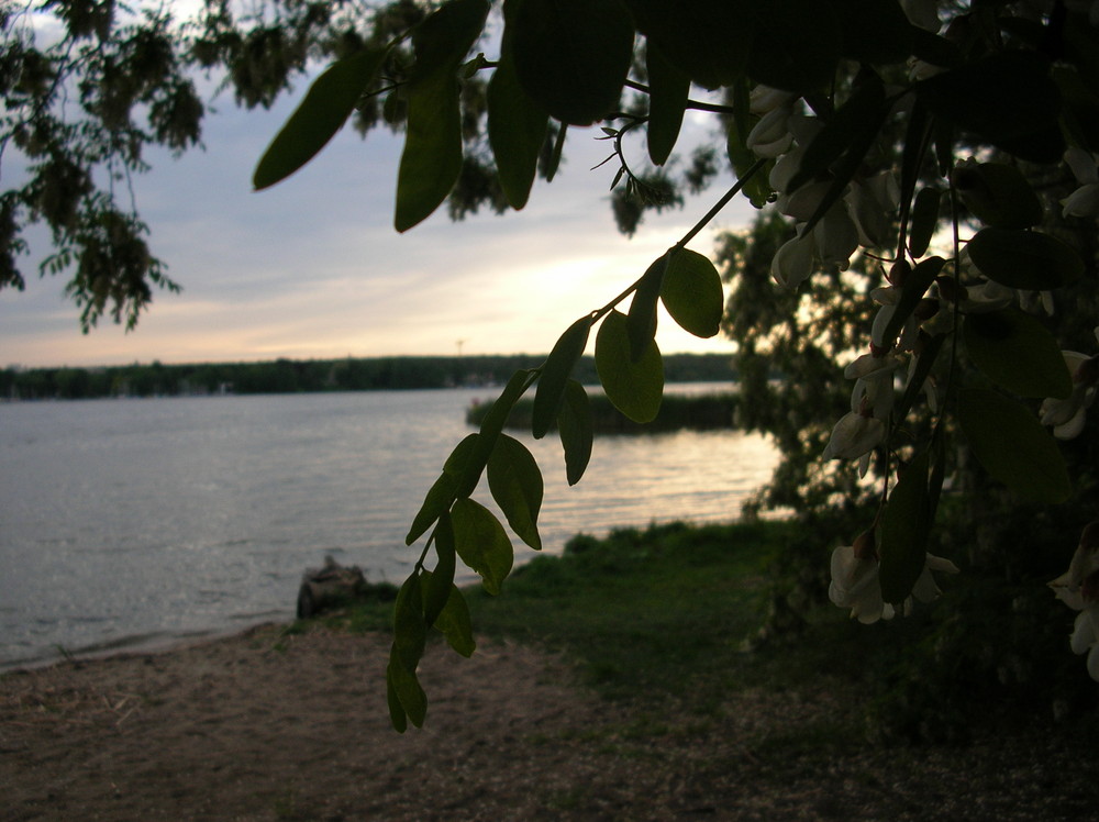 Mein geliebter Wannsee