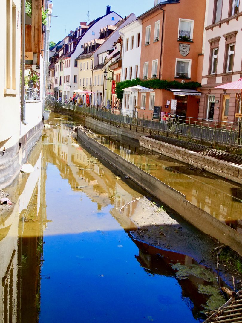 Mein geliebtes Freiburg 