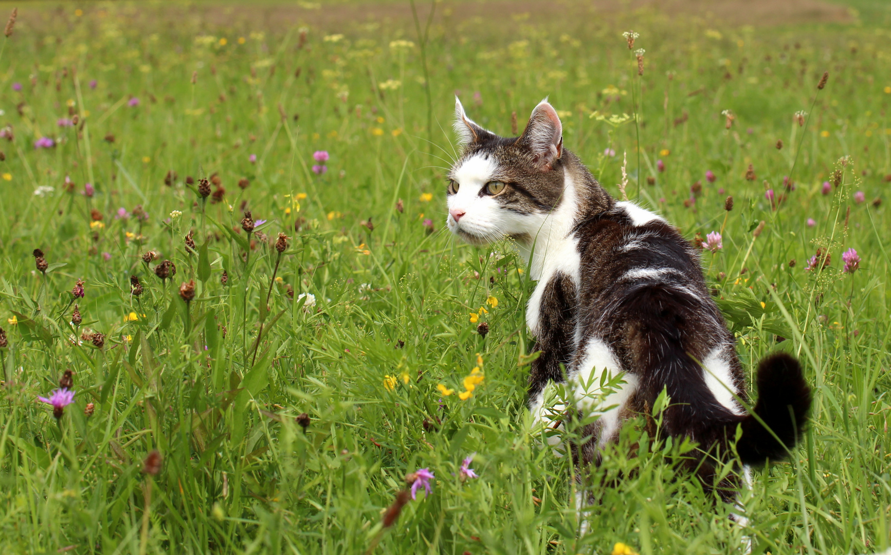 Mein Gismo und ich....