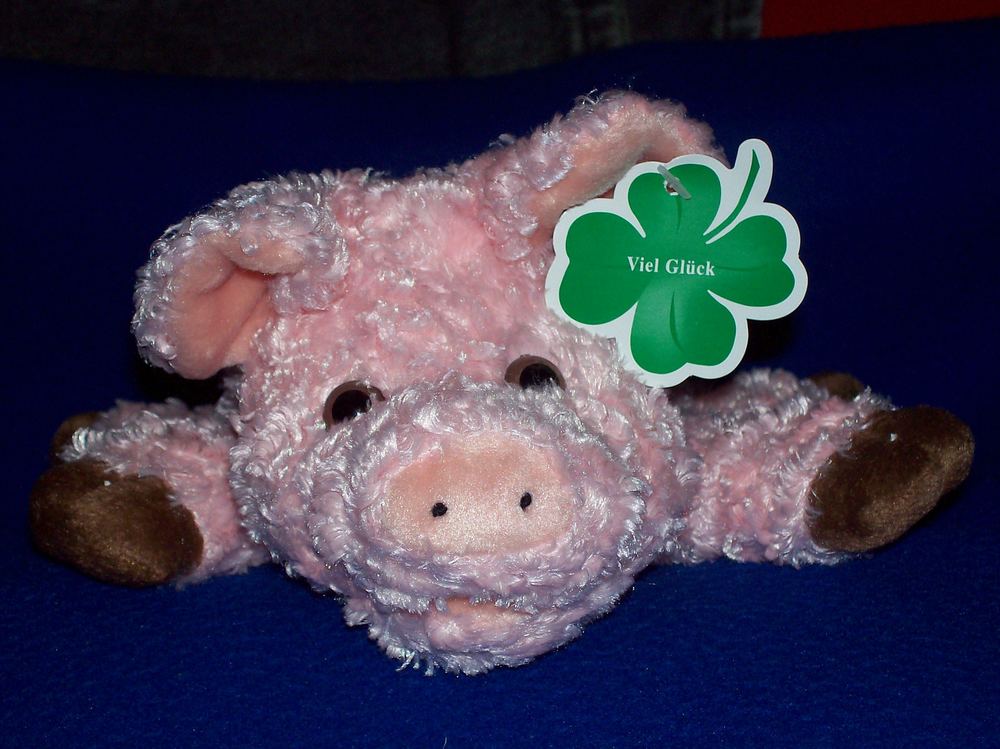 mein glückschwein 2007