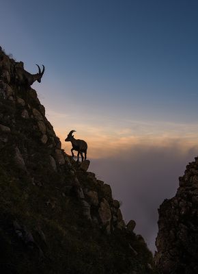 Mein grosser Bruder... und ich