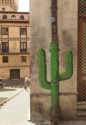 Mein großer grüner Kaktus...