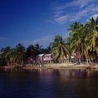 Mein Guesthouse auf Caye Caulker