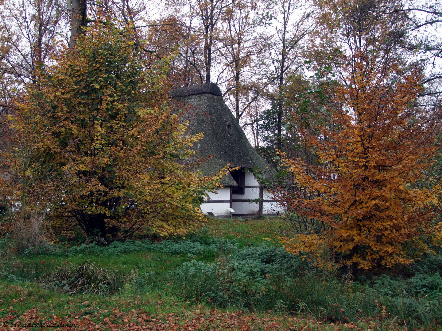 Mein Haus