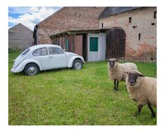 Mein Haus, mein Auto, meine ...