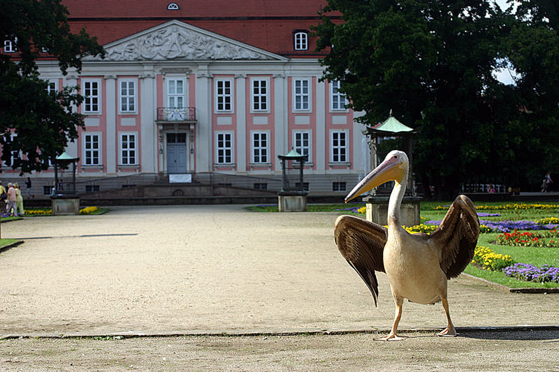 Mein Haus, meine Garten.......