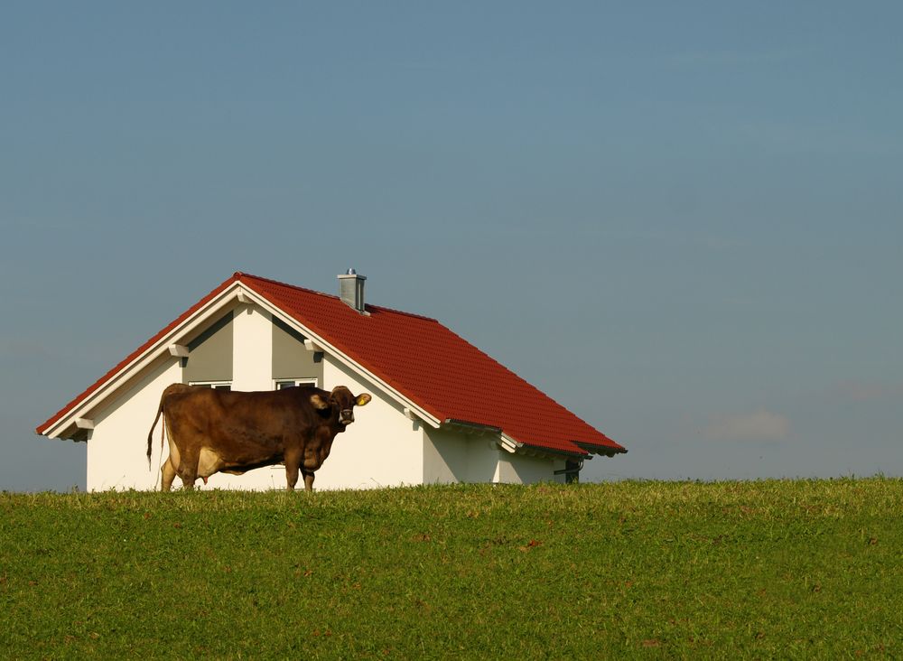 Mein Haus, meine Wiese...