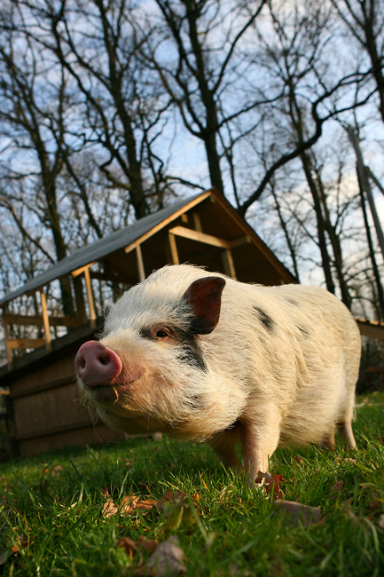 Mein Haus! Und wenn ich mal groß bin