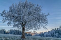 Mein Hausberg ...