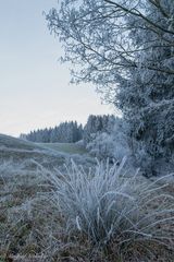 Mein Hausberg ...