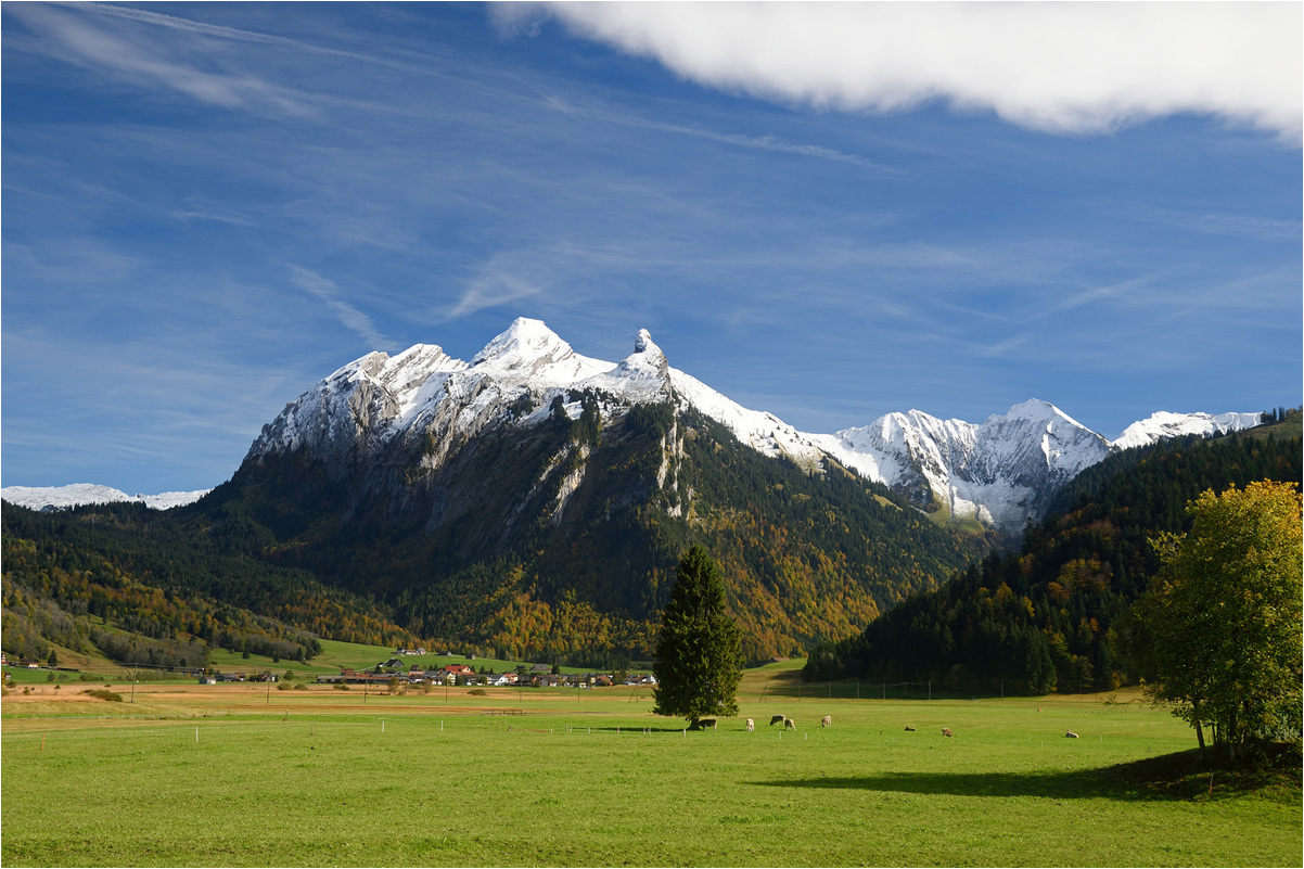 Mein Hausberg II