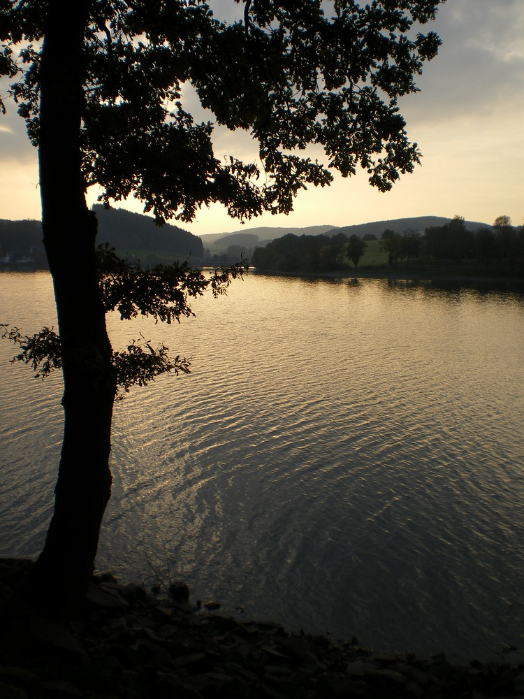 Mein Heimatland am Listersee