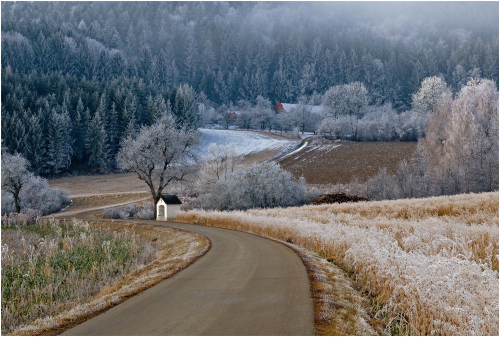 mein Heimweg