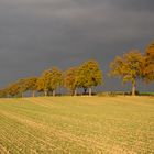 Mein Heimweg im Herbst