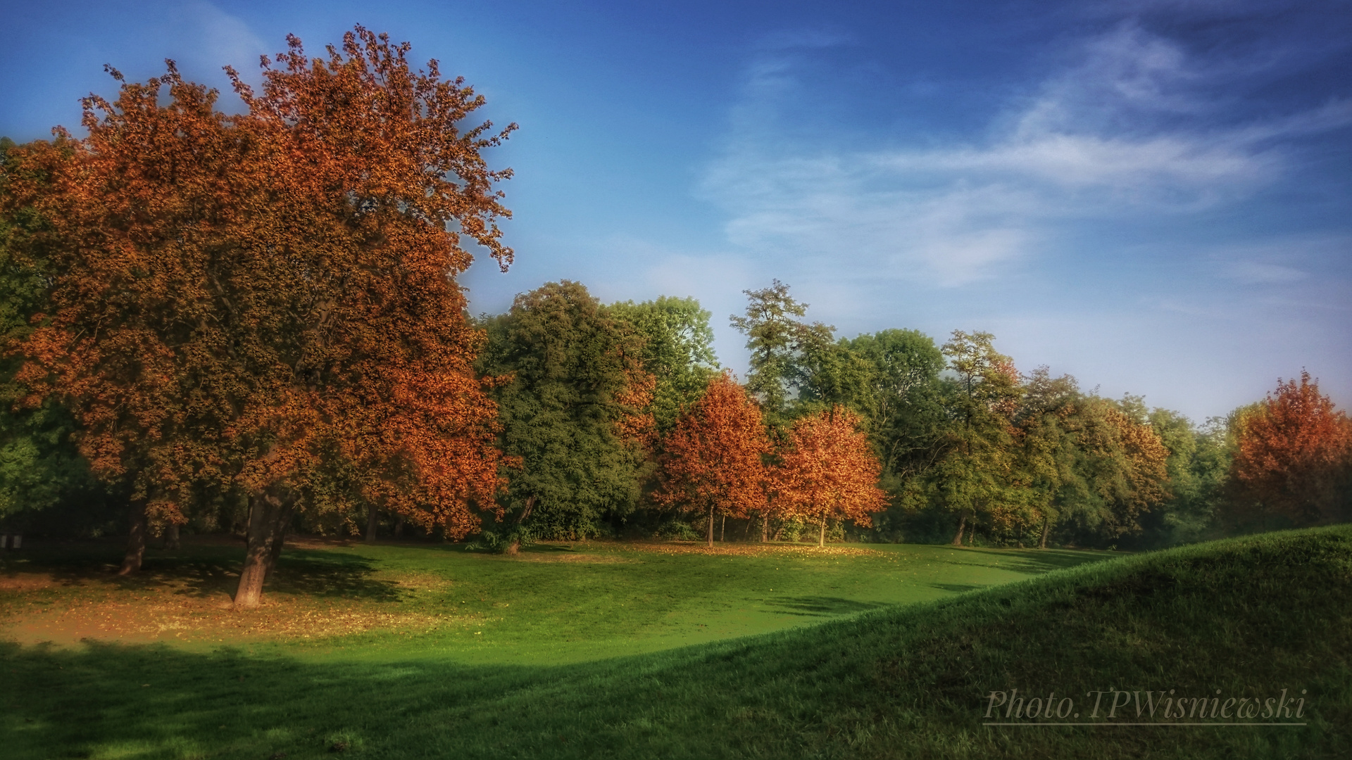 mein Herbst _ 10