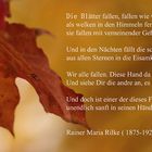 mein Herbst 8