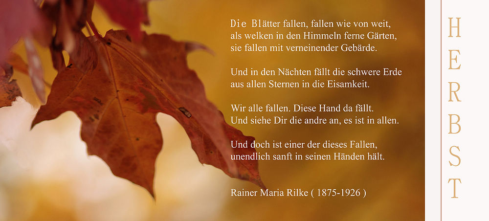 mein Herbst 8