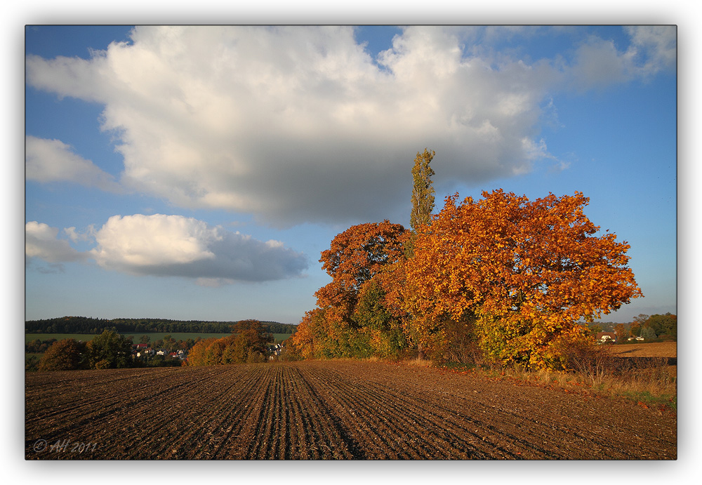 Mein Herbst - 9