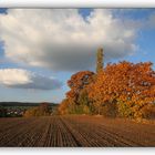 Mein Herbst - 9