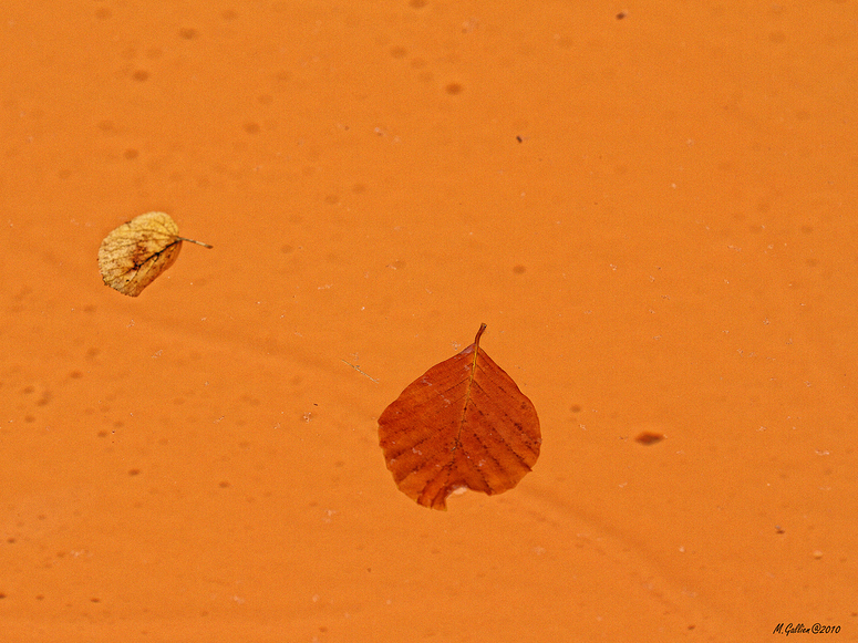 Mein Herbst beginnt...