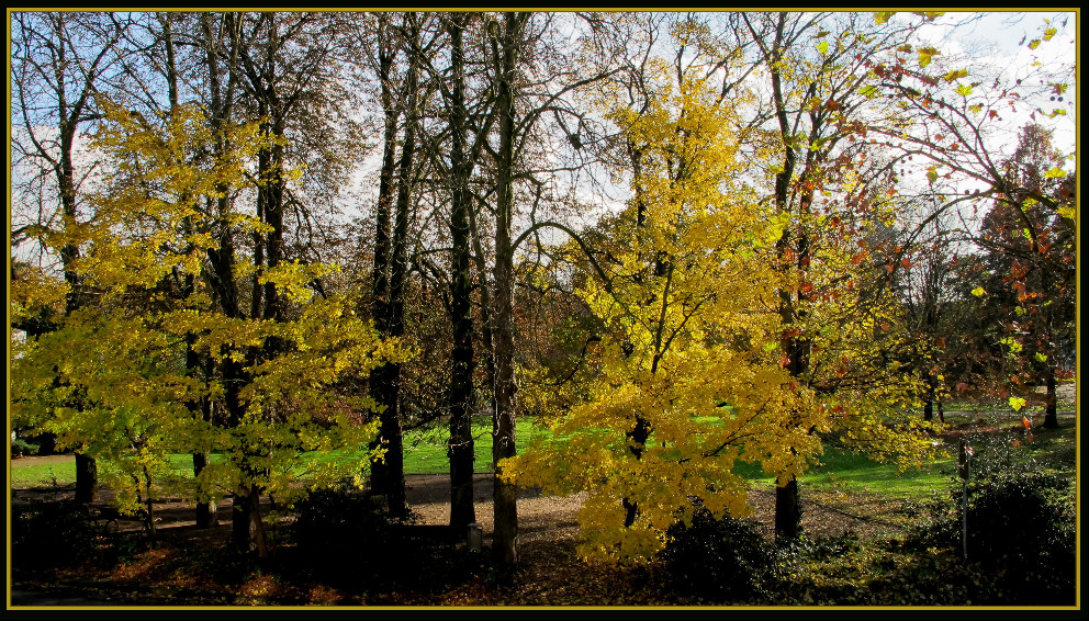 mein "Herbst" im Park