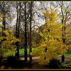 mein "Herbst" im Park