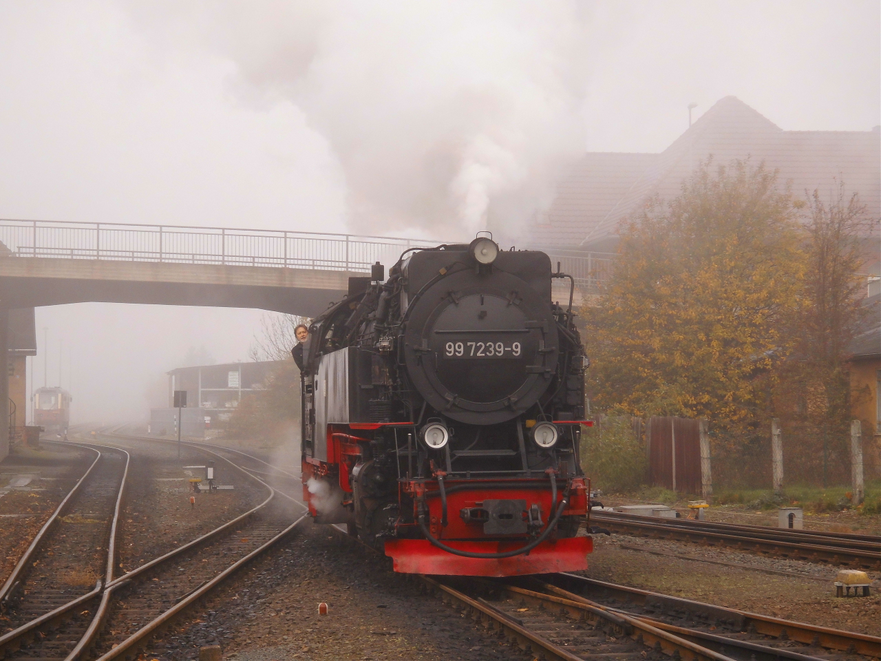 Mein Herbstausflug ins Selketal 1.