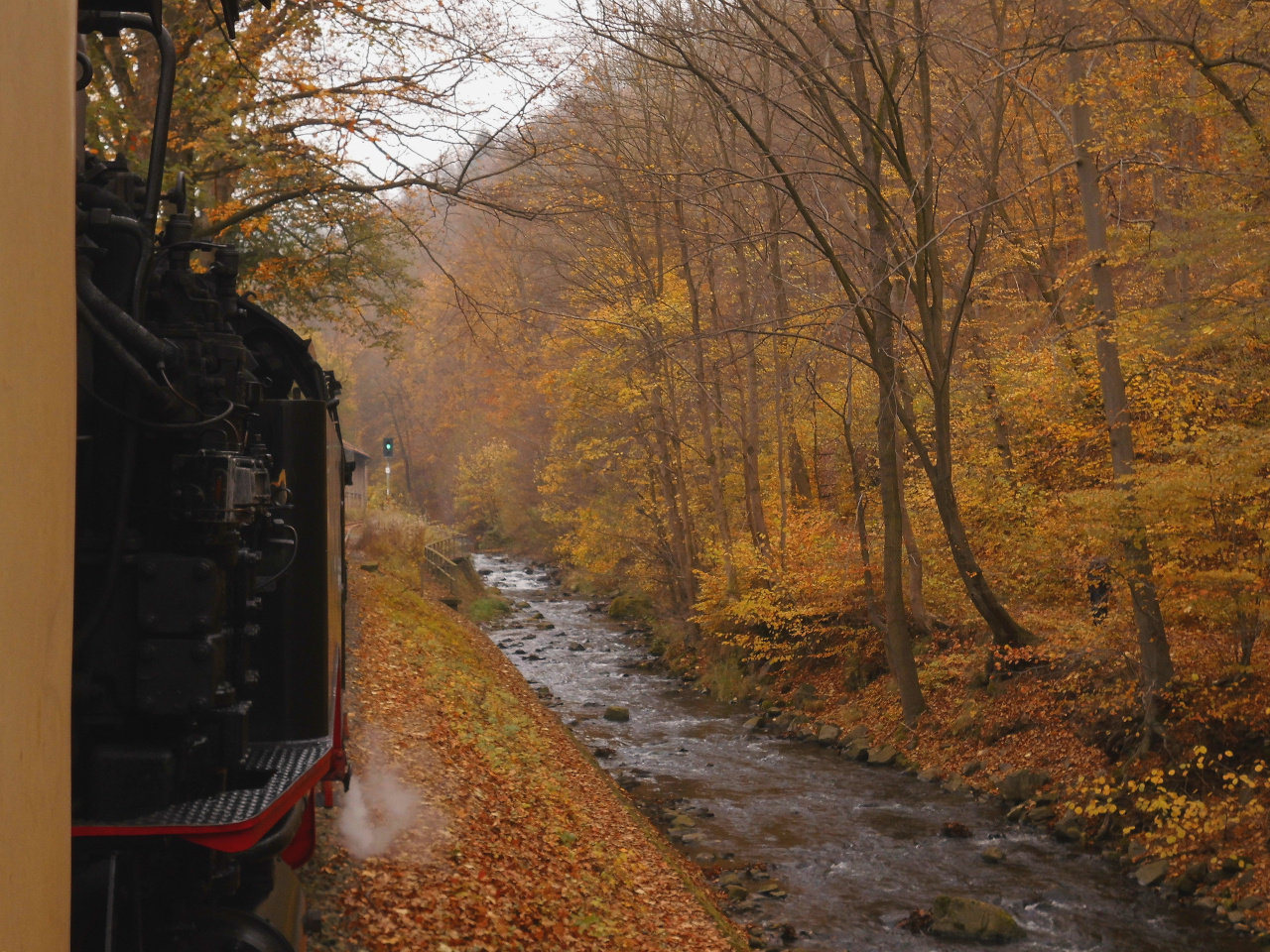 Mein Herbstausflug ins Selketal 2.