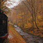 Mein Herbstausflug ins Selketal 2.