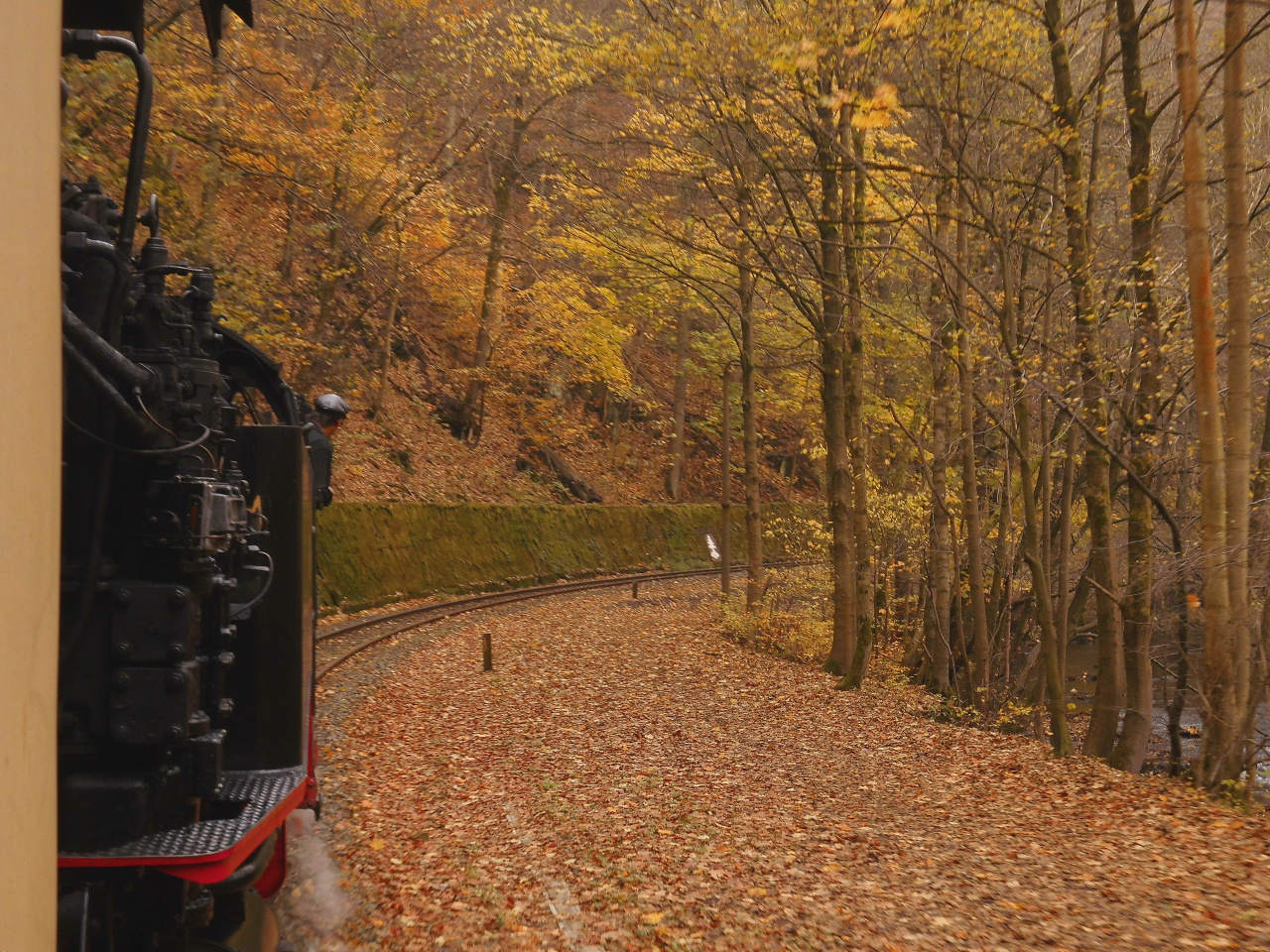 Mein Herbstausflug ins Selketal 3.