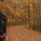 Mein Herbstausflug ins Selketal 3.