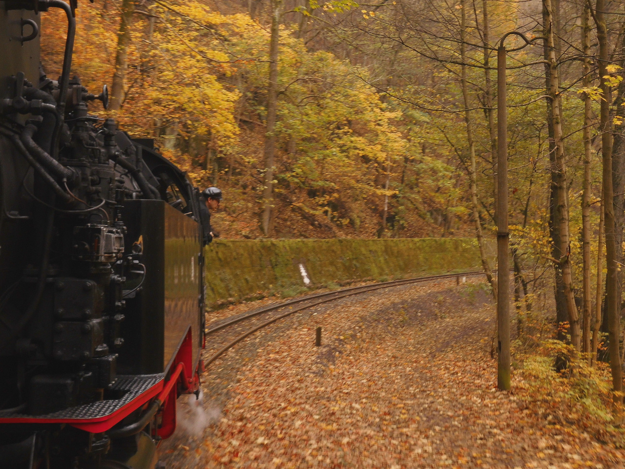 Mein Herbstausflug ins Selketal 4.