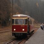 Mein Herbstausflug ins Selketal 5.