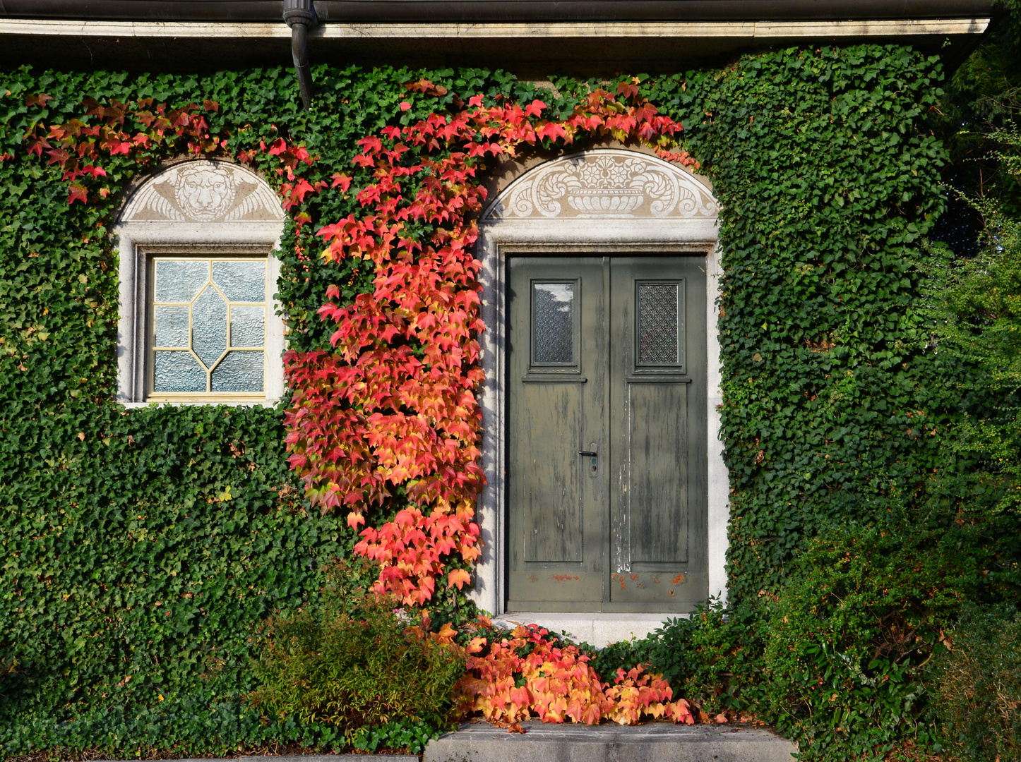 Mein Herbstbeitrag