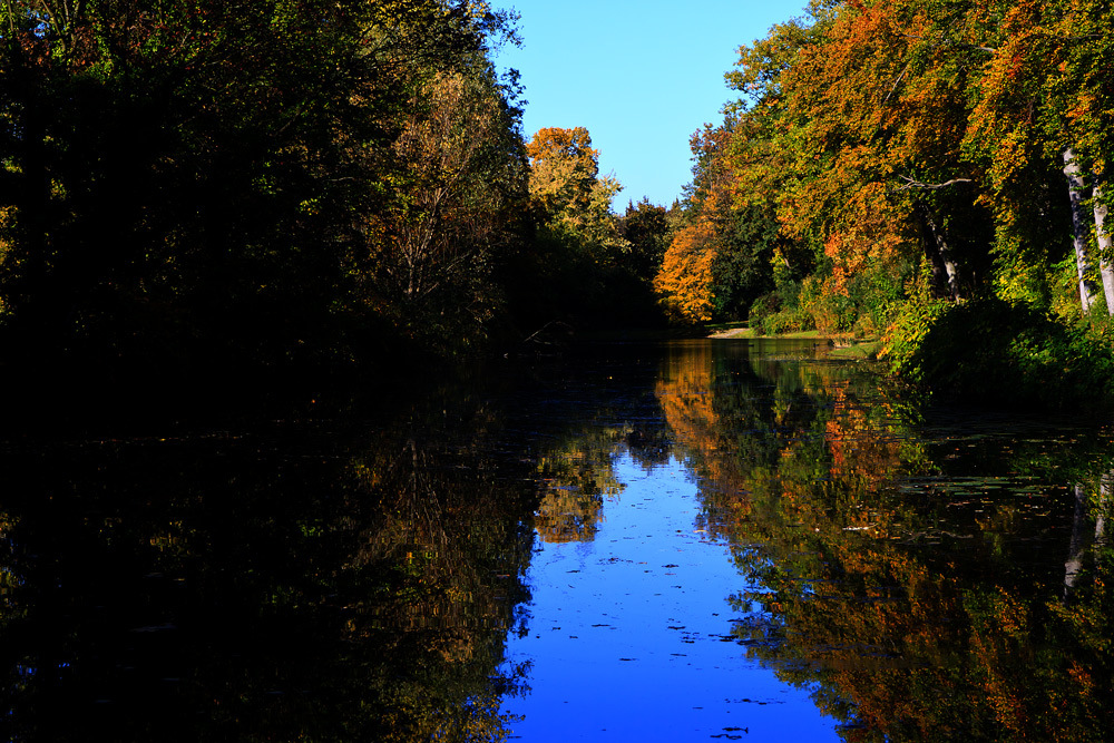 Mein Herbstbeitrag