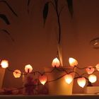 Mein Herbstbild kp-120-lampen/lichter