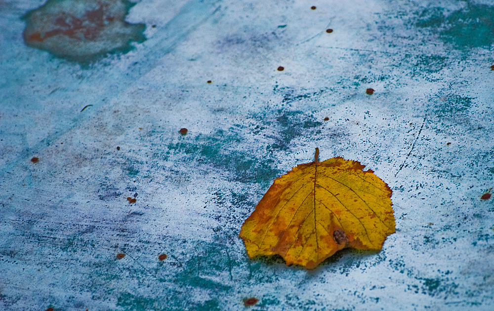 Mein Herbstblatt