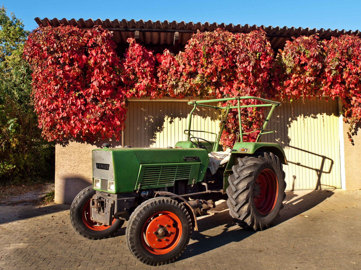 mein Herbstfahrzeug - Fendt -