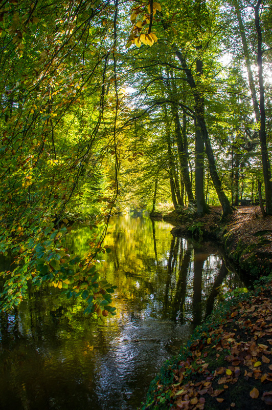 Mein Herbstfoto 2012