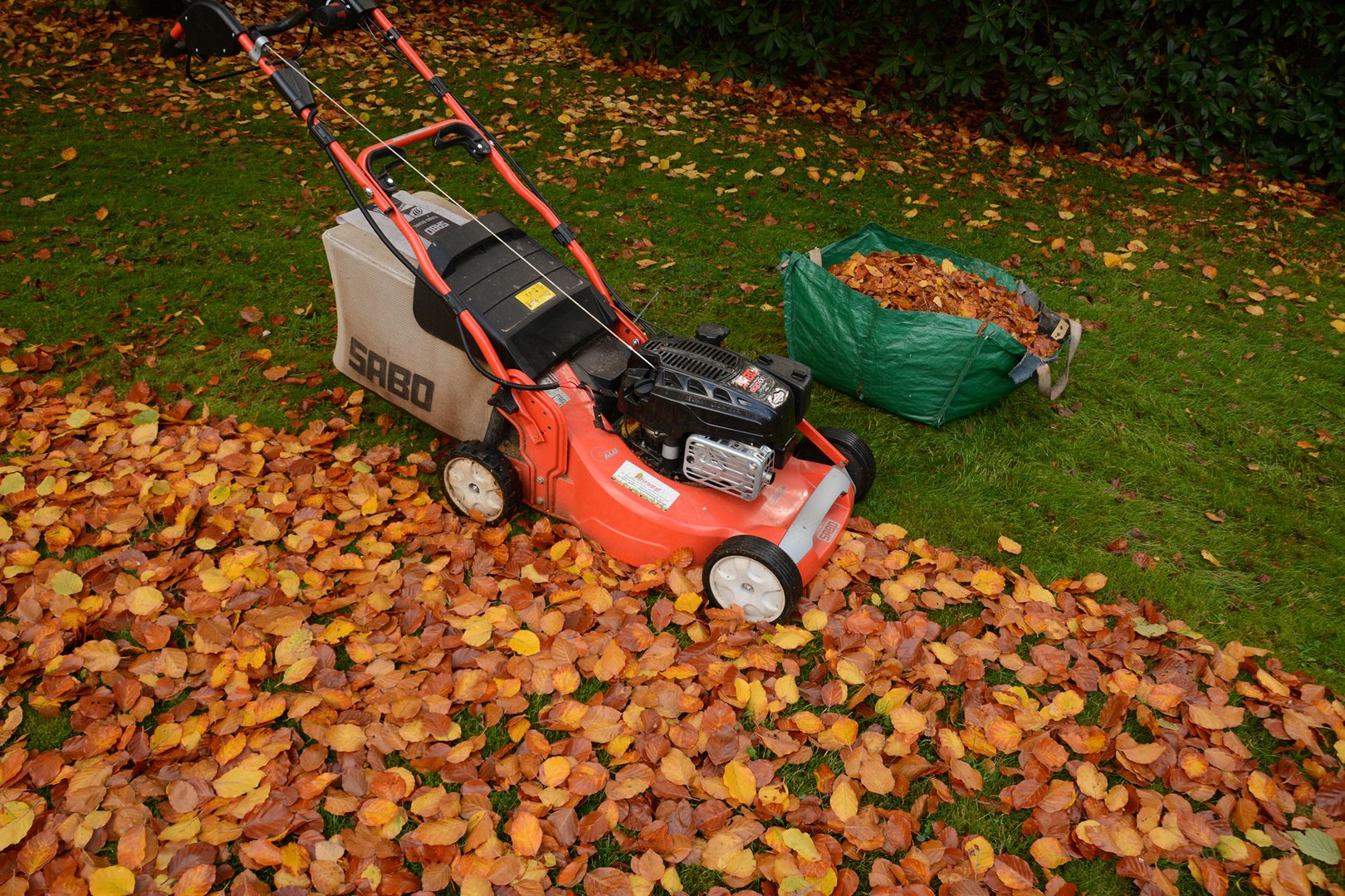 Mein Herbstvergnügen; Laub sammeln und zum Kompost bringen