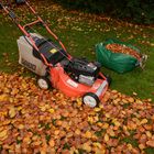 Mein Herbstvergnügen; Laub sammeln und zum Kompost bringen