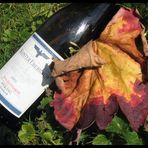 Mein Herbstwein - Ein Gedicht!