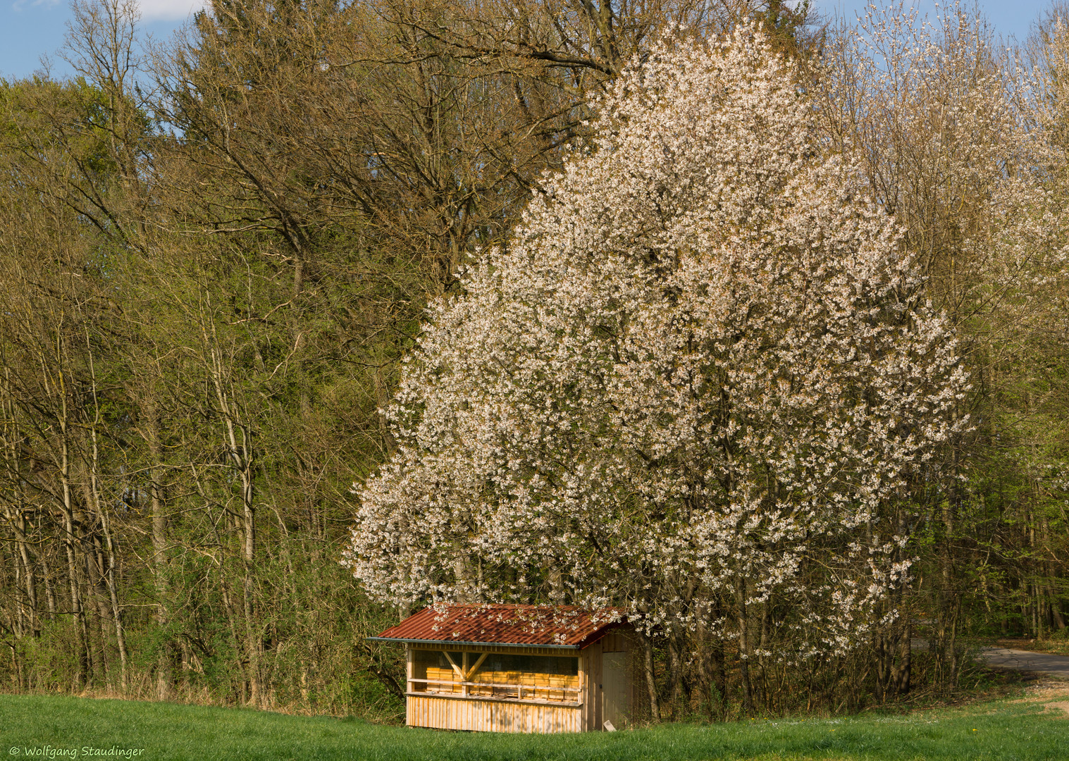 Mein Herz das ist ein Bienenhaus