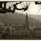 Mein Herz schlägt für Heidelberg...