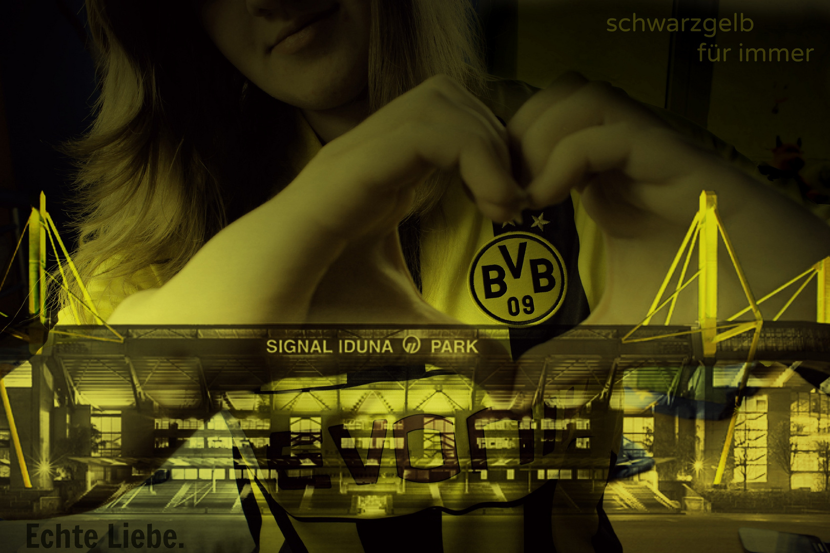 Mein Herz Schlagt Schwarz Gelb Nur Der Bvb Foto Bild Jugend Indoor Menschen Bilder Auf Fotocommunity