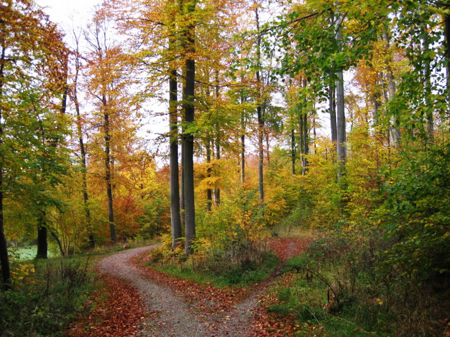 Mein Herzweg