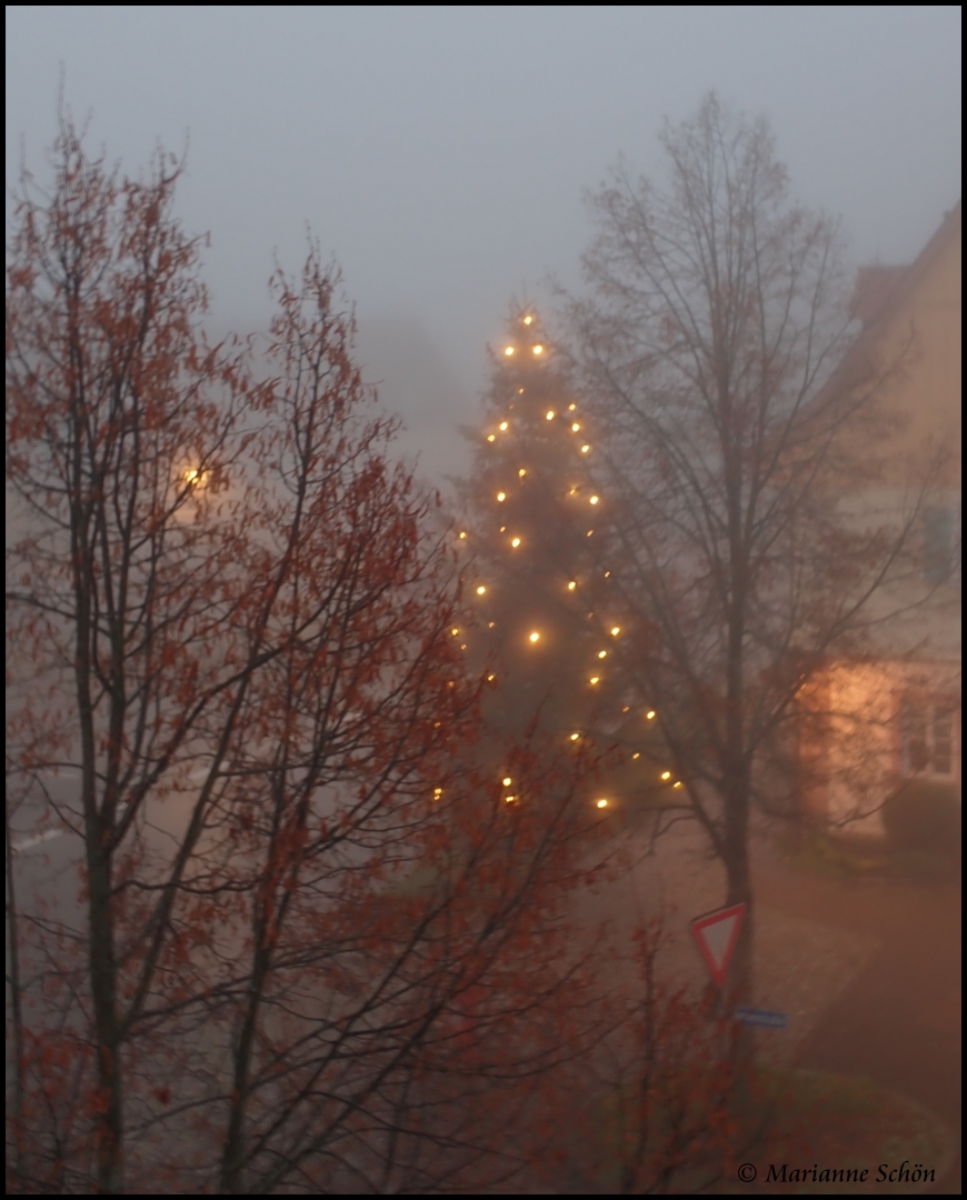 Mein heutiger Fensterblick in den nebligen Morgen...