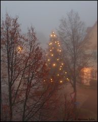 Mein heutiger Fensterblick in den nebligen Morgen...