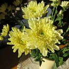 Mein heutiges Mittwochsblümchen - ein gelber Chrysanthemen-Strauß
